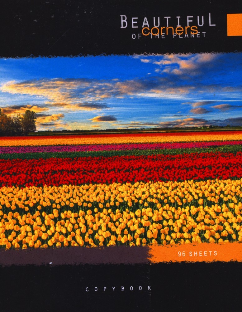 Тетрадь 96 листов, клетка с полями | КПК