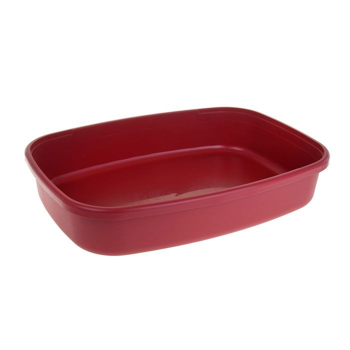 Лоток универсальный «Биг», 62х44х13 см, красный
