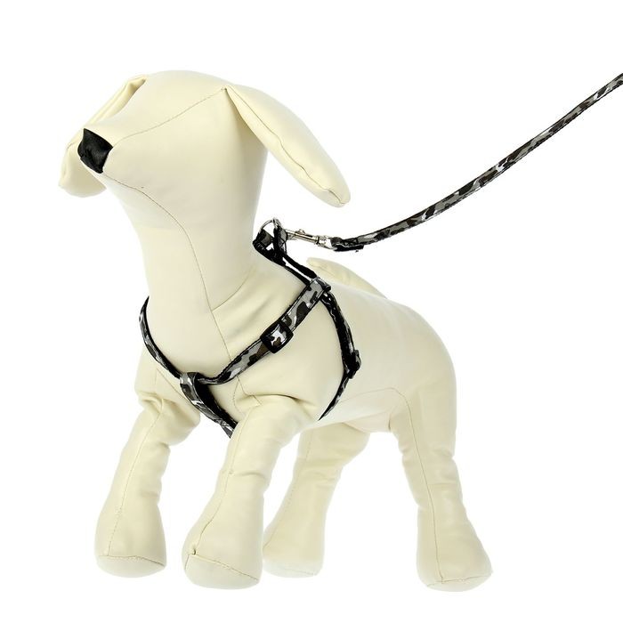 Комплект «Милитари», ширина 1 см, поводок 120 см, шлейка 26-41 см, серо-черный | Пижон