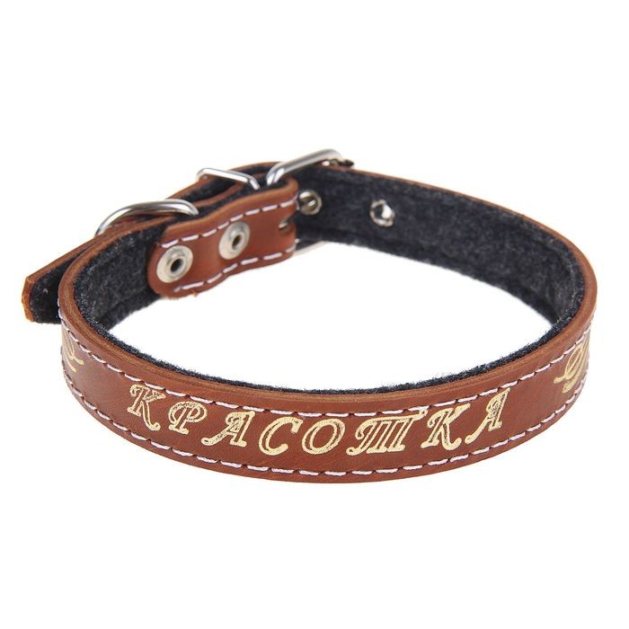 Ошейник кожаный на фетре с тиснением «Красотка», 45-48х2 см, цвет в ассортименте