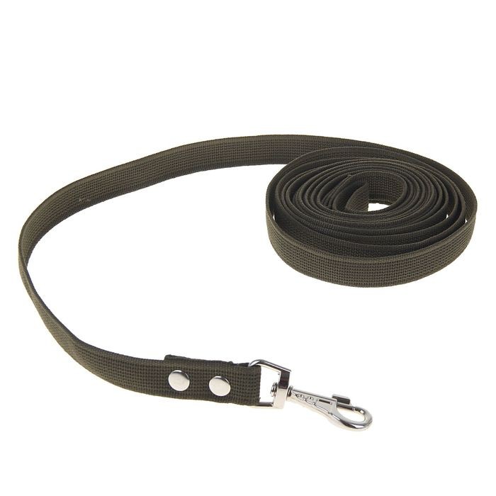Поводок брезентовый, 2,5 см х 5 м