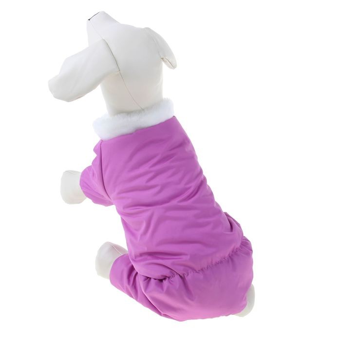 Комбинезон зимний с меховым воротником, размер L, розовый