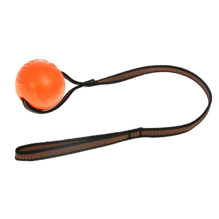 Мяч для дрессировки «ДогЛайк» с лентой, малый, диаметр 6,5 см, длина ленты 65 см | Doglike