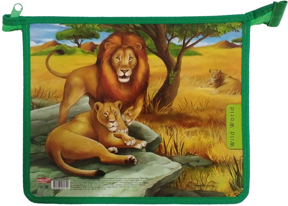 Папка для тетрадей «Семья львов», на молнии, А5 | Проф-Пресс