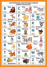 Английский язык. Английские согласные
