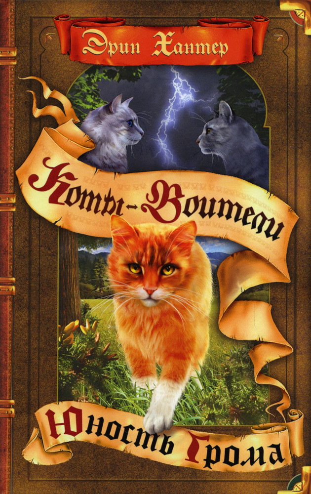 Коты-воители. Юность Грома | Коты-воители