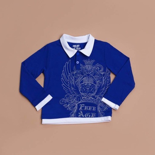 Лонгслив для мальчиков | Рыцари | Free age