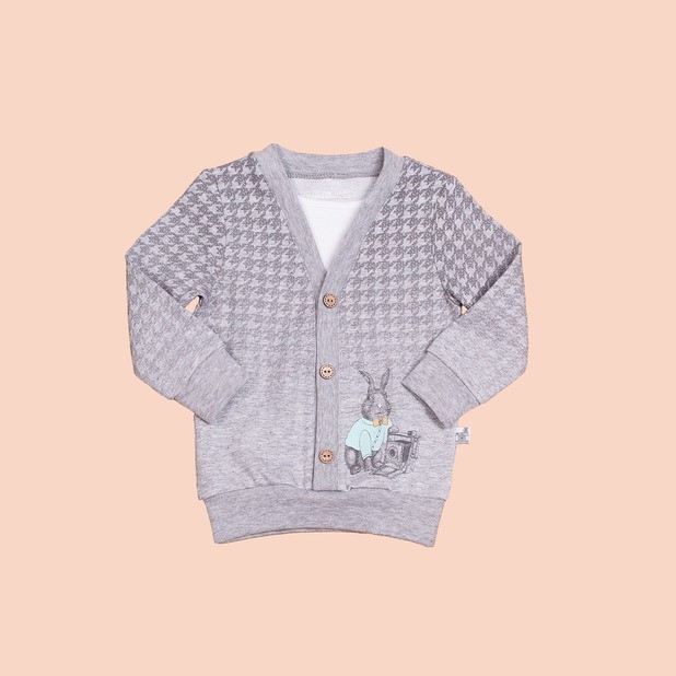 Джемпер для мальчиков | Зайцы-фотографы | Free age