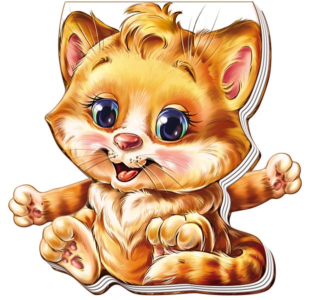 Котёнок | Забавные лапки