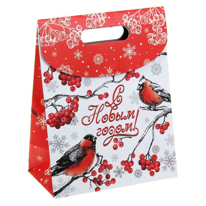 Пакет с клапаном «Снегири» (18×10×23 см)