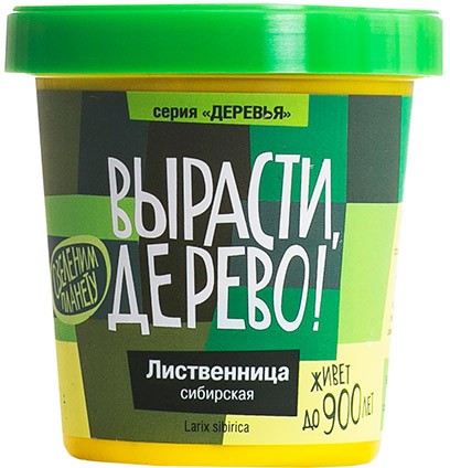 Набор для выращивания «Лиственница сибирская»