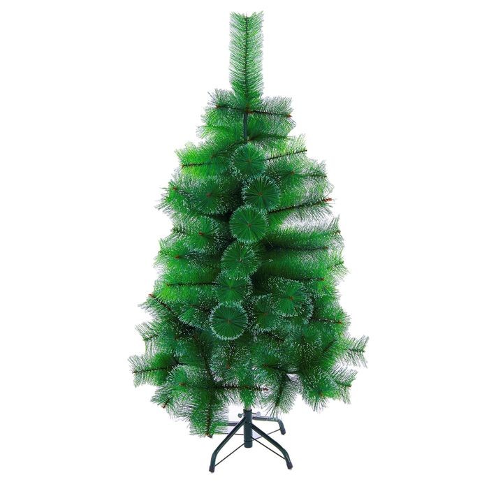 Кедр «Северное сияние», 150 см (152 ветки)