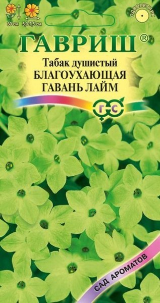 Семена. Табак душистый «Благоухающая Гавань Лайм», 5 шт | Однолетние цветы (Гавриш) | Гавриш