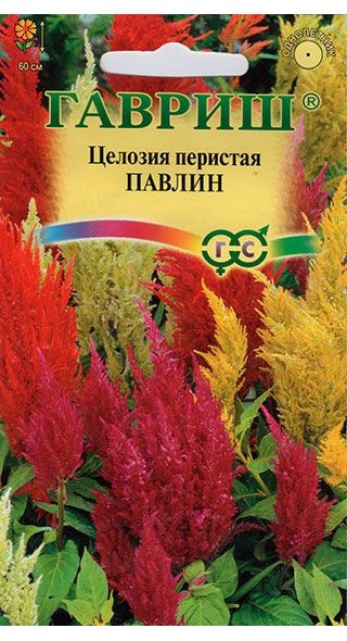 Семена. Целозия перистая «Павлин», 0,1 г | Однолетние цветы (Гавриш) | Гавриш