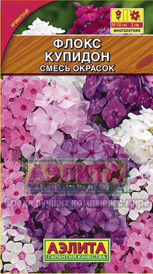 Флокс метельчатый «Купидон», смесь окрасок, 0,1 г | Многолетние цветы (Аэлита) | Аэлита