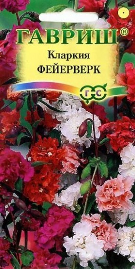 Семена. Кларкия изящная «Фейерверк», 0,1 г