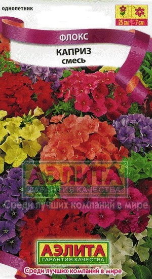 Флокс «Каприз», смесь окрасок, 0,2 г | Однолетник | Аэлита