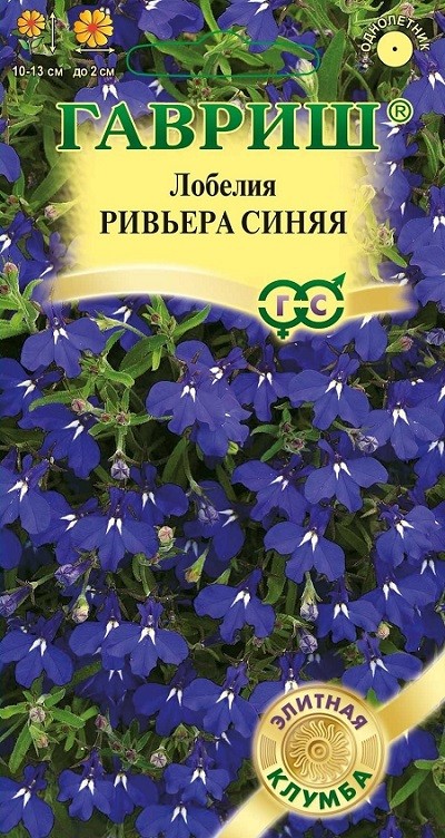 Семена. Лобелия «Ривьера Синяя», 4 шт | Элитная клумба | Гавриш