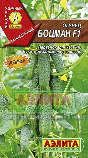 Семена. Огурец «Боцман F1», 0,25 г | Удачный урожай | Аэлита