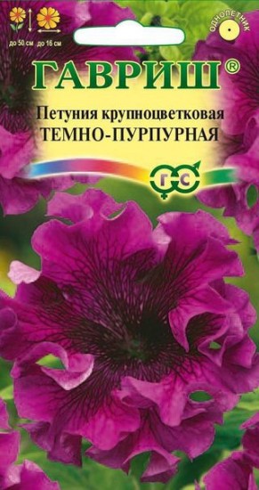 Семена. Петуния крупноцветковая «Темно-пурпурный», 10 шт