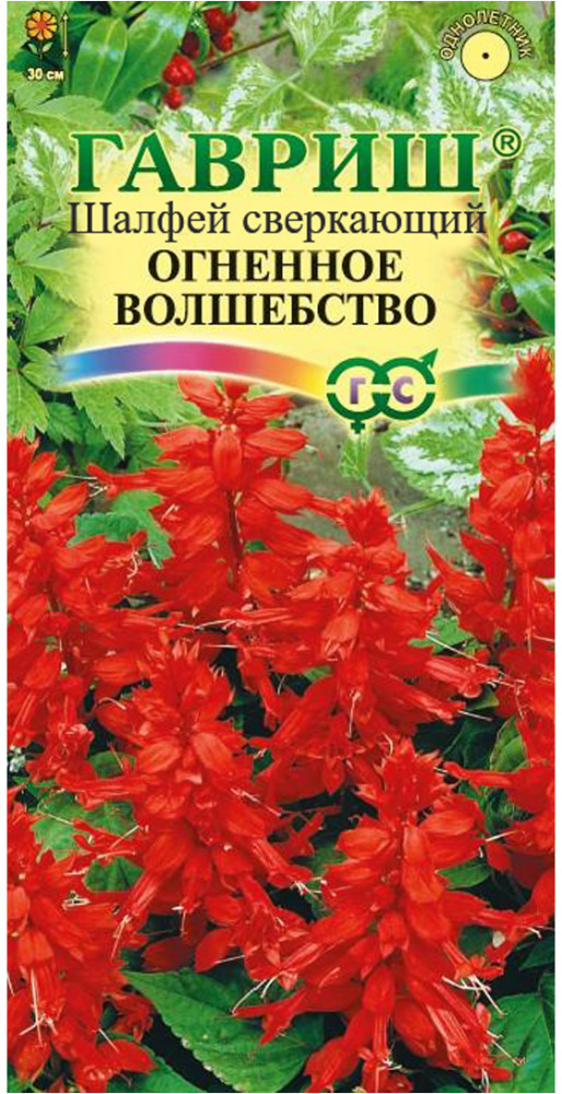 Семена. Сальвия (Шалфей) сверкающая «Огненное волшебство», 0,05 г | Чудесный балкон | Гавриш