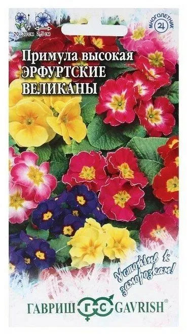 Семена. Примула высокая «Эрфуртские великаны», 20 шт | Многолетние цветы | Гавриш