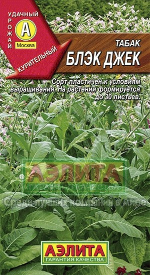 Семена. Табак курительный «Блэк Джек», 0,02 г | Однолетние цветы (Аэлита) | Аэлита