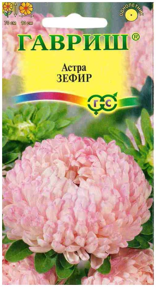 Семена. Астра «Зефир», 0,3 г | Астры | Гавриш