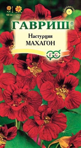 Семена. Настурция «Махагон», 1 г | Однолетние цветы (Гавриш) | Гавриш