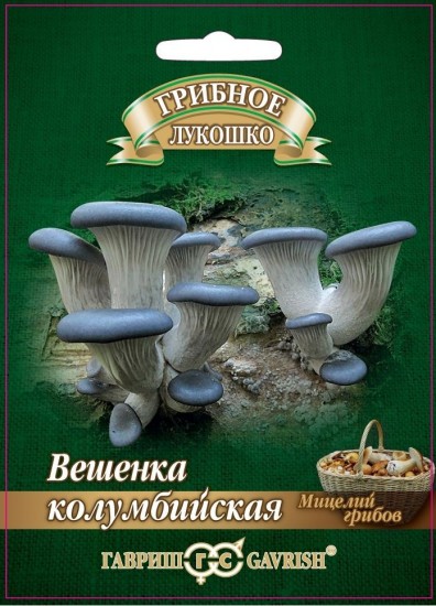 Мицелий грибов. Вешенка колумбийская, на древесных палочках, 12 шт