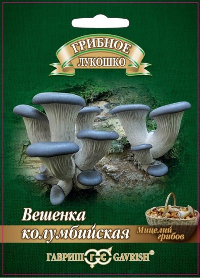 Вешенка «Колумбийская», на древесных палочках, 12 шт