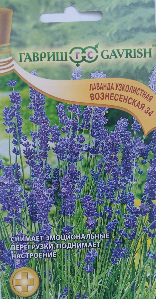 Семена. Лаванда узколистная «Вознесенская 34», 0,05 г | Лекарственные травы | Гавриш