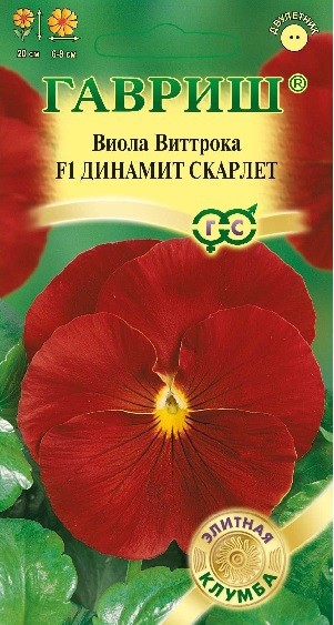 Семена. Виола Виттрока «Динамит Скарлет F1», 5 шт | Элитная клумба | Гавриш