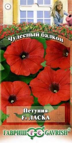 Семена. Петуния крупноцветковая «F1 Ласка», 10 шт