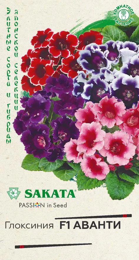 Семена. Глоксиния «Аванти F1», 5 шт | Комнатные цветы | Гавриш