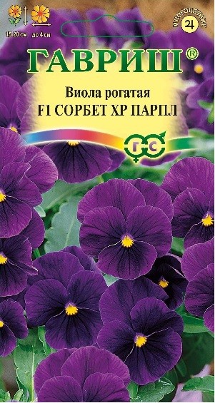 Семена. Виола «Сорбет XP Парпл F1», 4 шт | Комнатные растения | Гавриш