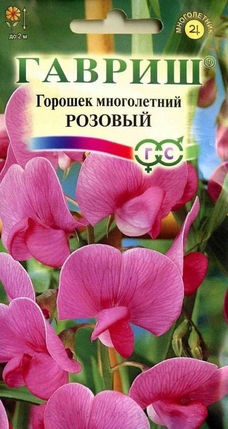 Семена. Горошек многолетний «Розовый», 0,5 г | Многолетние цветы (Гавриш) | Гавриш
