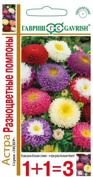 Семена. Астра «Разноцветные помпоны» (смесь), 0,6 г | Лидер (Гавриш) | Гавриш