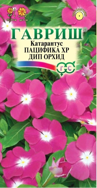 Семена. Катарантус «Пацифика XP Дип Орхид», 5 шт | Однолетние цветы (Гавриш) | Гавриш