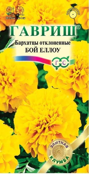 Семена. Бархатцы отклоненные «Бой Еллоу», 0,02 г | Элитная клумба | Гавриш