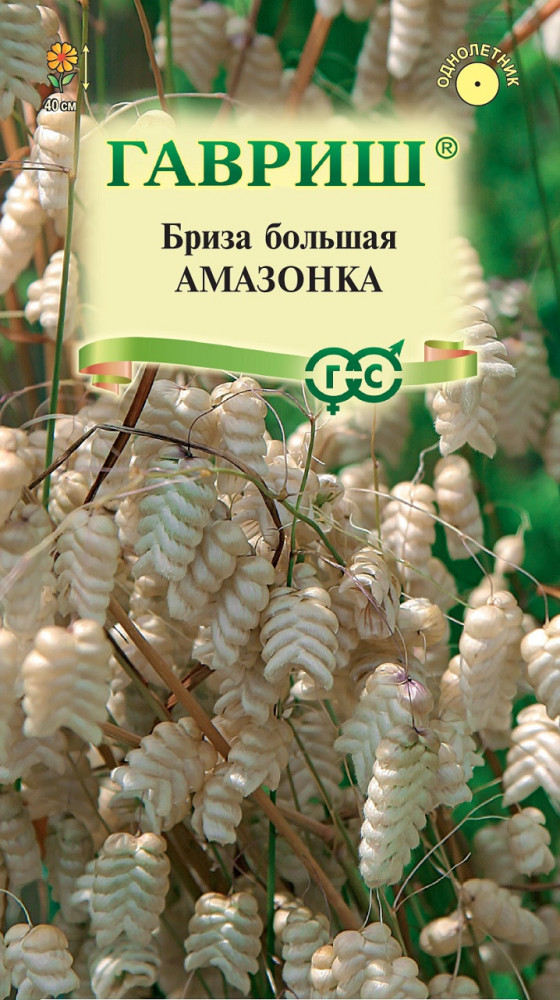 Семена. Бриза трясунка «Амазонка» | Однолетние цветы (Гавриш) | Гавриш