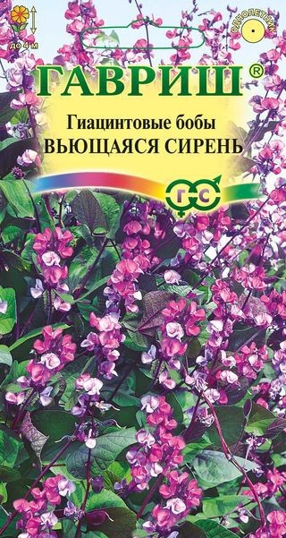 Семена. Гиацинтовые бобы «Вьющаяся сирень», 4 шт | Однолетние цветы (Гавриш) | Гавриш