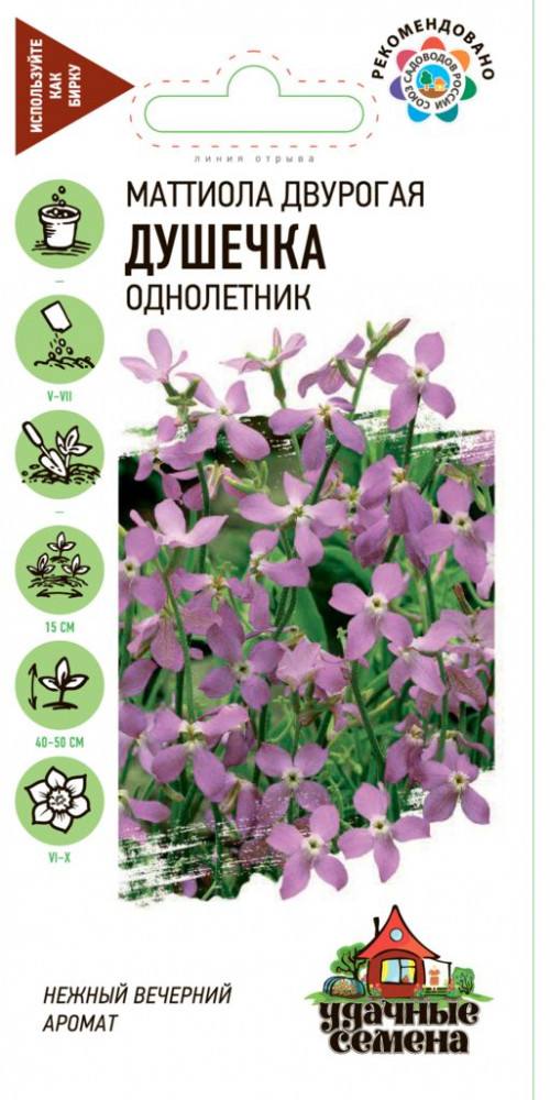 Семена. Маттиола двурогая «Душечка», 0,5 г | Удачные семена | Гавриш