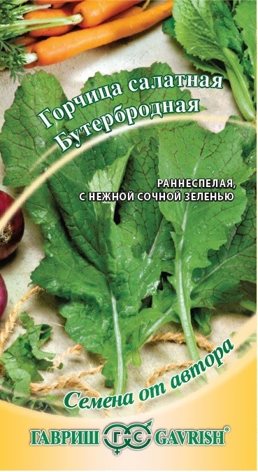Семена. Горчица салатная «Бутербродная», 1 г | Семена от автора | Гавриш