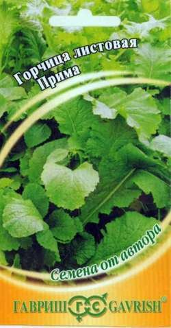 Семена. Горчица листовая «Прима», 1 г