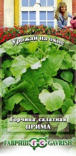 Семена. Горчица листовая «Прима», 1 г