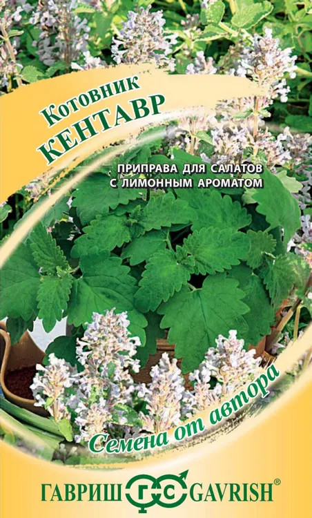 Семена. Котовник «Кентавр», 0,2 г | Семена от автора | Гавриш