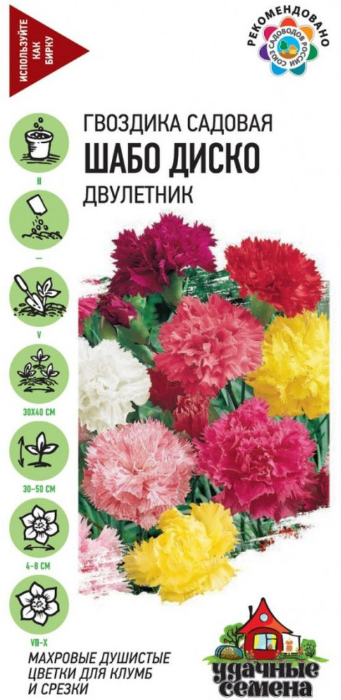 Семена. Гвоздика Шабо «Диско», смесь, 0,1 г | Удачные семена | Гавриш