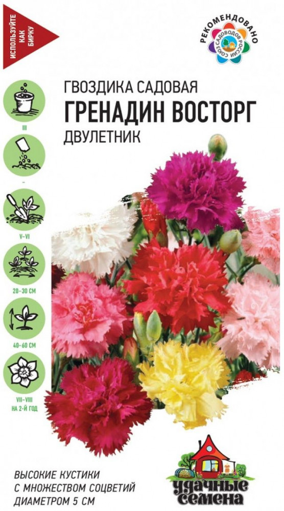 Семена. Гвоздика садовая гренадин «Восторг», смесь, 0,1 г | Удачные семена | Гавриш