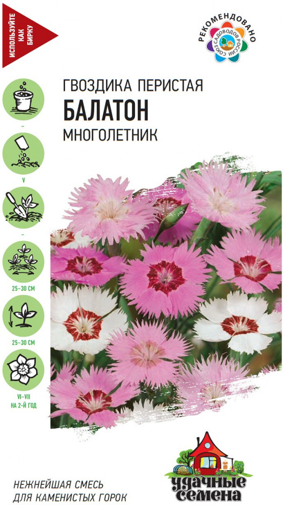 Семена. Гвоздика перистая «Балатон», смесь, 0,2 г | Удачные семена | Гавриш